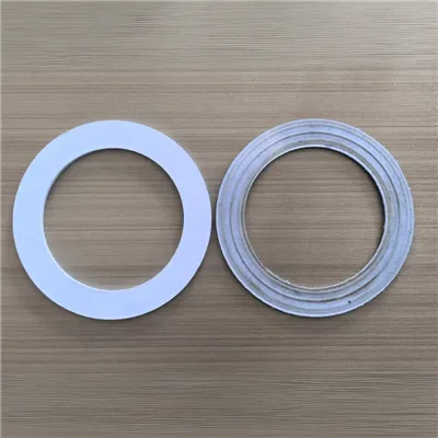 Σφραγίδα RPTFE